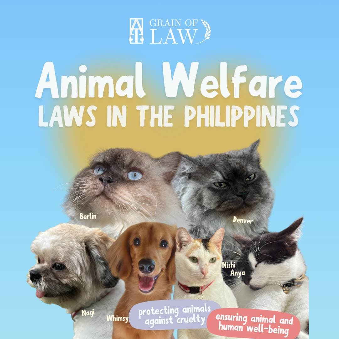 Did you know the Philippines has laws protecting our furry, feathered, and scaled friends? Our pets and all animals deserve to live free from harm. Laws like RA 8485 and RA 9482 are in place to ensure